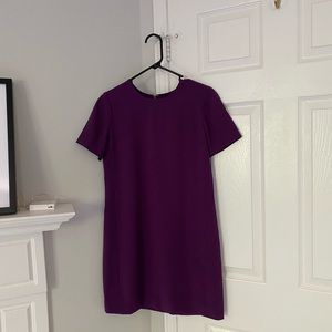 Excellent Condition Eggplant color Babaton Dress - Size 4